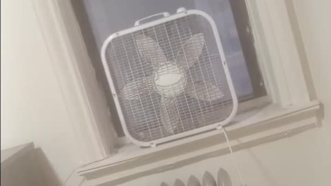 Straphanger throws bottle 🍾 at MTA bus 🚍 driver in the Bronx