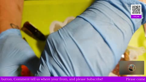 Momma Coop's Got The Pour