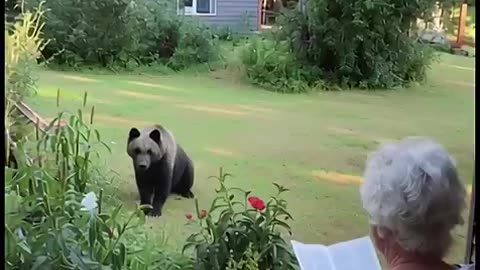 Amazing: "Wisdom vs. Wilderness: How a Grandma Mastered a Bear Encounter 🌲👵"