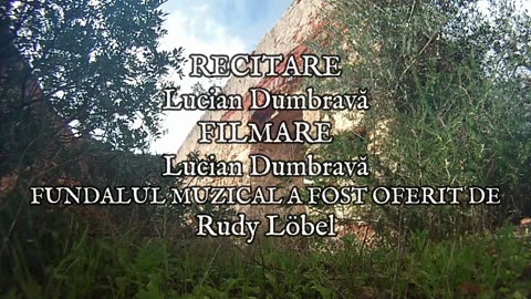 George Bacovia - Nocturnă