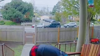😂🐶 You Won't Believe What Happened! | FunFM