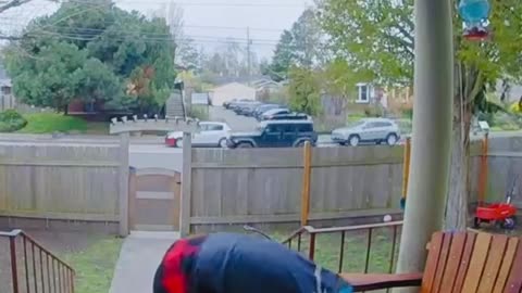 😂🐶 You Won't Believe What Happened! | FunFM