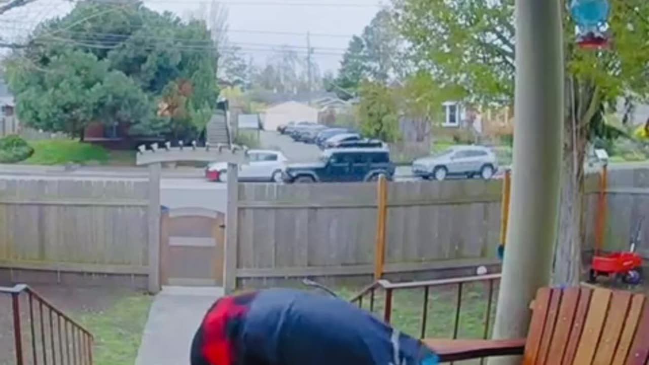 😂🐶 You Won't Believe What Happened! | FunFM