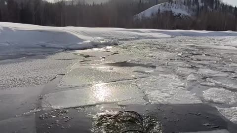 Cooking fish and shrimp