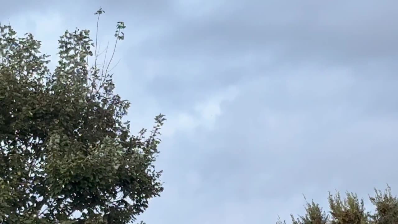 👽🔭 Is This Metallic Orb the Clearest UFO Ever Caught on Camera? | TheTruthAbove