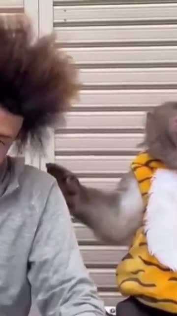 The monkey’s reaction.. 😂