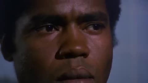 The Rookies: "Out Of The Darkness"