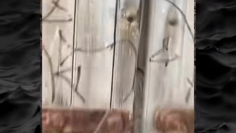 😱👻 The Creepiest Paranormal Encounter I've Ever Seen! Creepy Paranormal Videos | TheHauntingHour