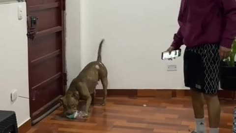 RHYTHMICALLY 😅MONDAY 12/15/25