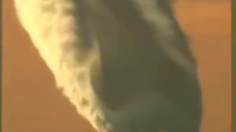 spraying us like bugs.