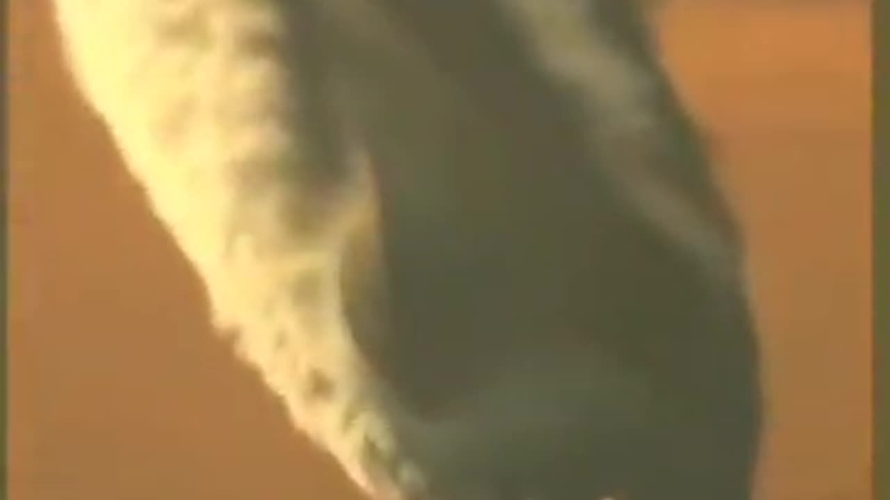 spraying us like bugs.