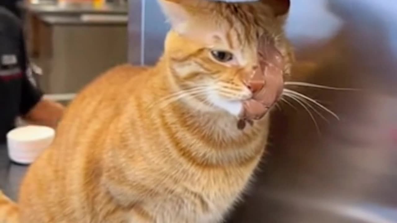 The Real Reason the Ice Cream Machine is 'Broken' 🍦😹