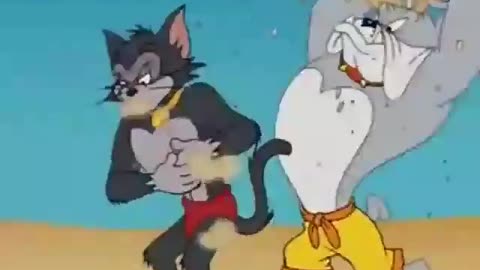 "Unbelievable Tom & Jerry Antics – Who Will Win This Time?"