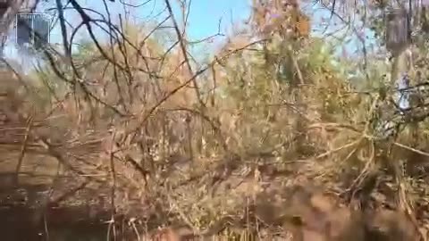 🔥💥 Ukraine Russia War | 3rd Assault Brigade Engages Russian Forces in Novomykhailivka | RCF