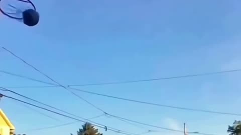 Try Not To Laugh😂😂😂