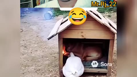 Happy Diwali My Friend
