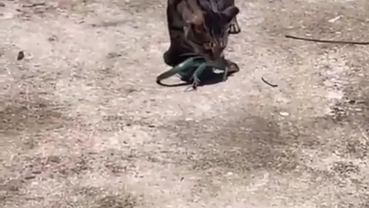 🤯 WTF?! Jimmy's Moment is Pure Chaos! | FunFM