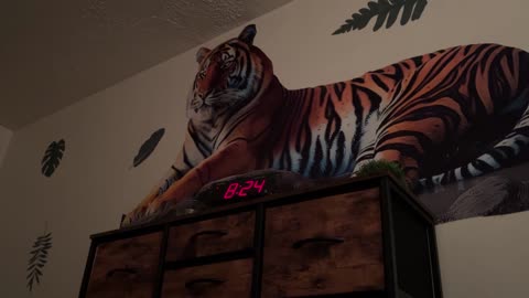 This Is How I Woke Up