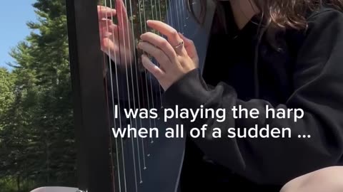 everyone needs to see this ASAP