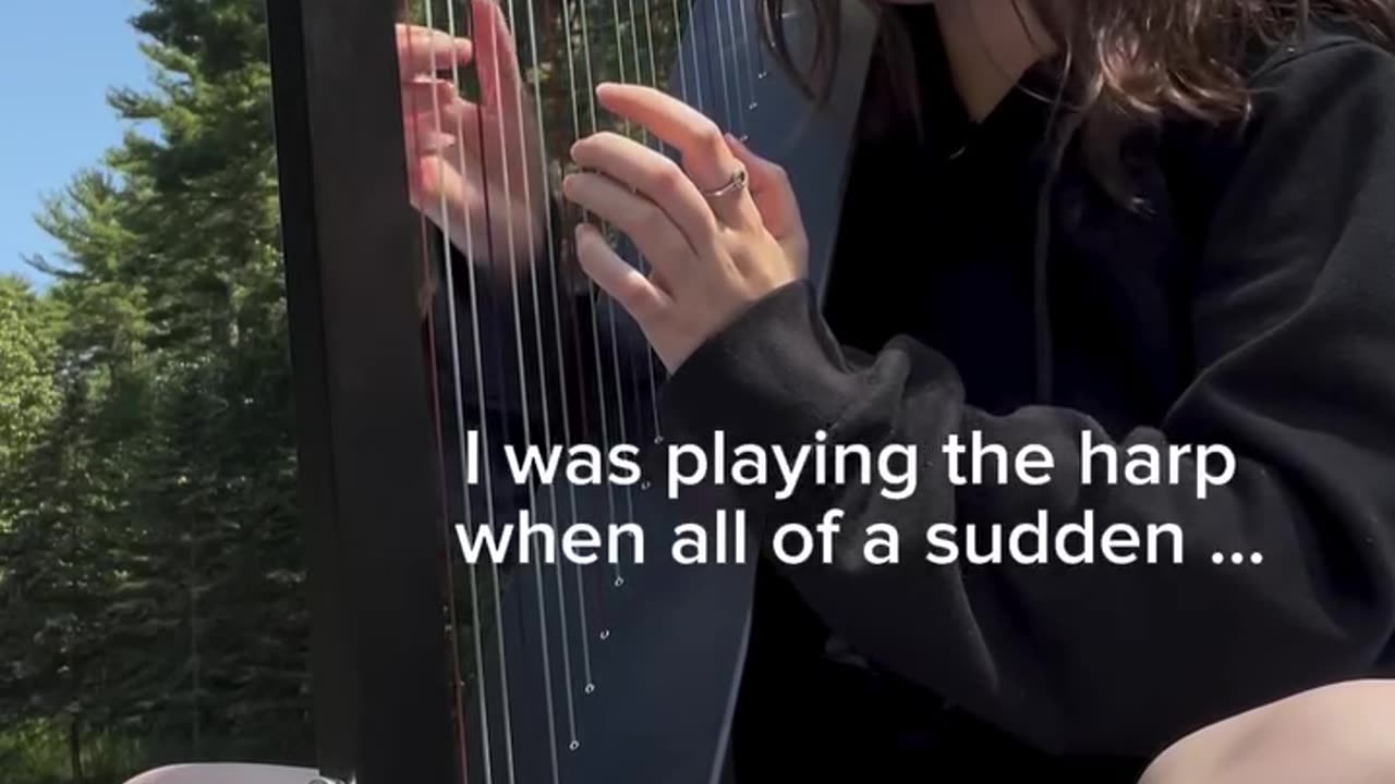 everyone needs to see this ASAP