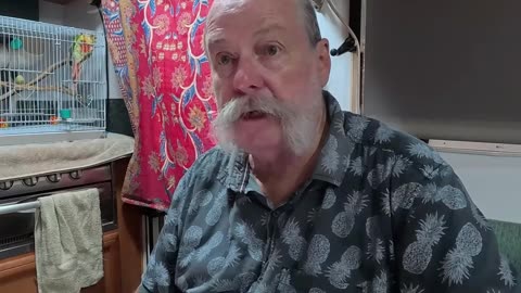 Chicken Big Mac Review 🇦🇺 — Overhyped or Worth $10.95?