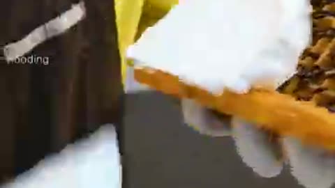 Biteable?? Super Fat Cream Waffle That Melts in Your Mouth!