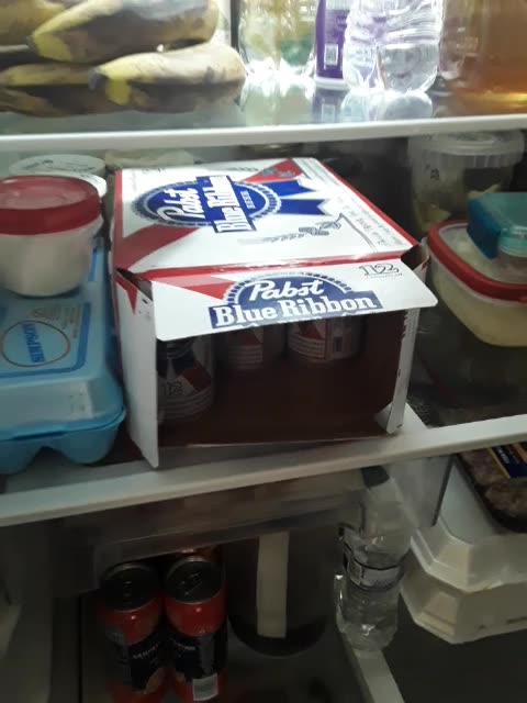 Redneck Winter Checklist PBR