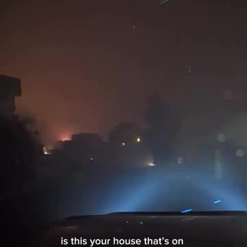 This man rescued a woman and her 4 pups last night in the Los Angeles palisades fire.