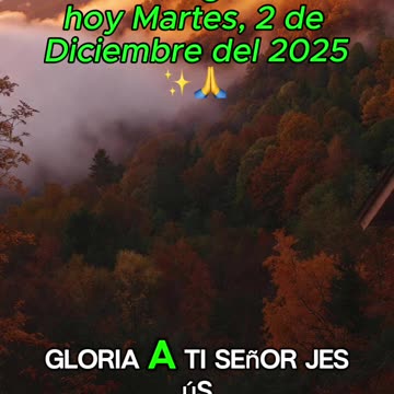 🙏✨Evangelio de hoy Martes, 2 de Diciembre del 2025✨🙏