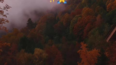 🙏✨Evangelio de hoy Martes, 2 de Diciembre del 2025✨🙏