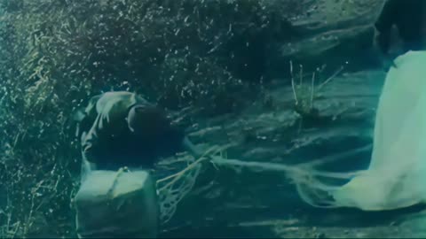 Airdrop to Australian Forces 1943