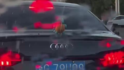 Petty revenge for people who honk too much