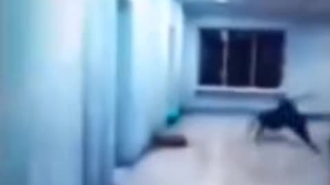 😨👻 Paranormal Activity Caught on Camera! | TheHauntingHour