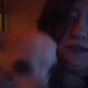 Chihuahua just Rapping
