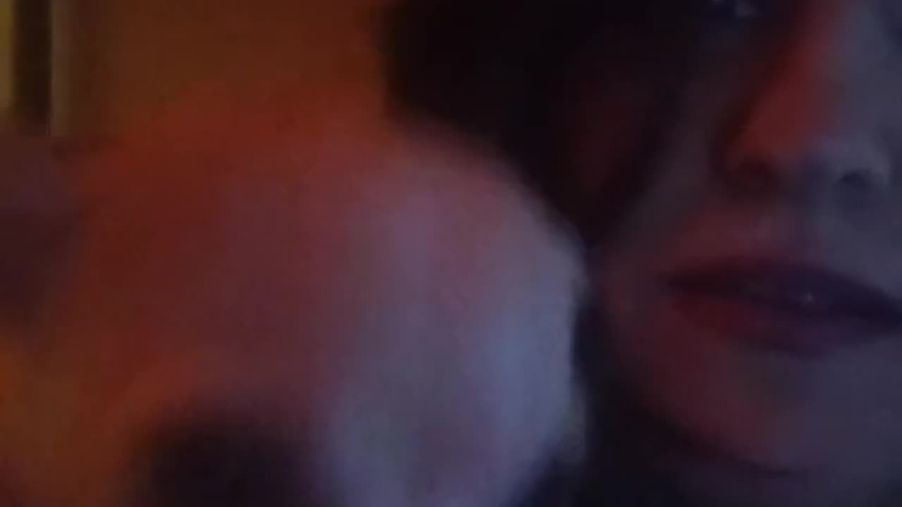Chihuahua just Rapping