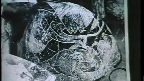 MYSTERIES OF THE GODS (1977) - William Shatner