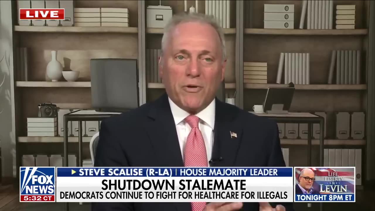 Steve Scalise: Democrats need to ‘END THIS MADNESS’ immediately