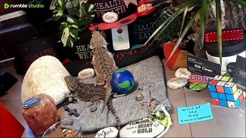 ⭕2025 Live Stream Day 10🔴 🍏Healthy4Life🐉 Mascots 🍎🐲 Meet Kobe & Health A Day In The Life Of Bearded Dragons🐲Day10🐉⭕Live🦎Stream🔴