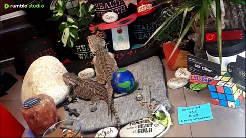 ⭕2025 Live Stream Day 10🔴 🍏Healthy4Life🐉 Mascots 🍎🐲 Meet Kobe & Health A Day In The Life Of Bearded Dragons🐲Day10🐉⭕Live🦎Stream🔴