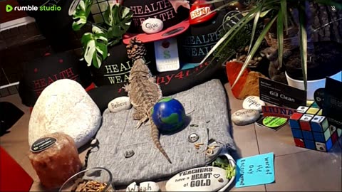 ⭕2025 Live Stream Day 10🔴 🍏Healthy4Life🐉 Mascots 🍎🐲 Meet Kobe & Health A Day In The Life Of Bearded Dragons🐲Day10🐉⭕Live🦎Stream🔴