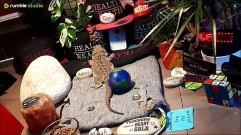 ⭕2025 Live Stream Day 10🔴 🍏Healthy4Life🐉 Mascots 🍎🐲 Meet Kobe & Health A Day In The Life Of Bearded Dragons🐲Day10🐉⭕Live🦎Stream🔴