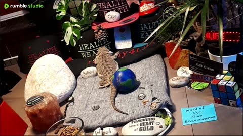 ⭕2025 Live Stream Day 10🔴 🍏Healthy4Life🐉 Mascots 🍎🐲 Meet Kobe & Health A Day In The Life Of Bearded Dragons🐲Day10🐉⭕Live🦎Stream🔴