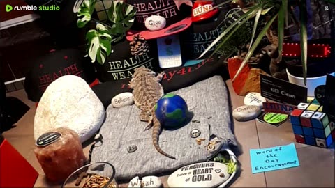 ⭕2025 Live Stream Day 10🔴 🍏Healthy4Life🐉 Mascots 🍎🐲 Meet Kobe & Health A Day In The Life Of Bearded Dragons🐲Day10🐉⭕Live🦎Stream🔴