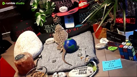 ⭕2025 Live Stream Day 10🔴 🍏Healthy4Life🐉 Mascots 🍎🐲 Meet Kobe & Health A Day In The Life Of Bearded Dragons🐲Day10🐉⭕Live🦎Stream🔴