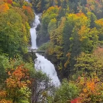 The Nature of Switzerland