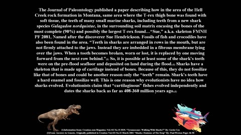 Final examples of different fossils