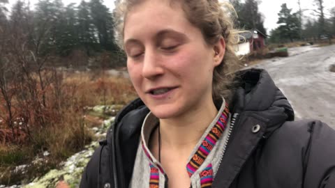 The snow is melting💦