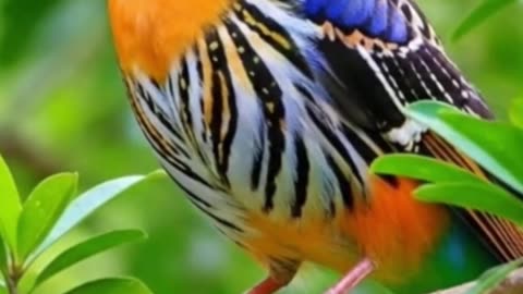 Close Your Eyes — Feel the Peace Flow In #relaxingmusic #calmvibes #shorts