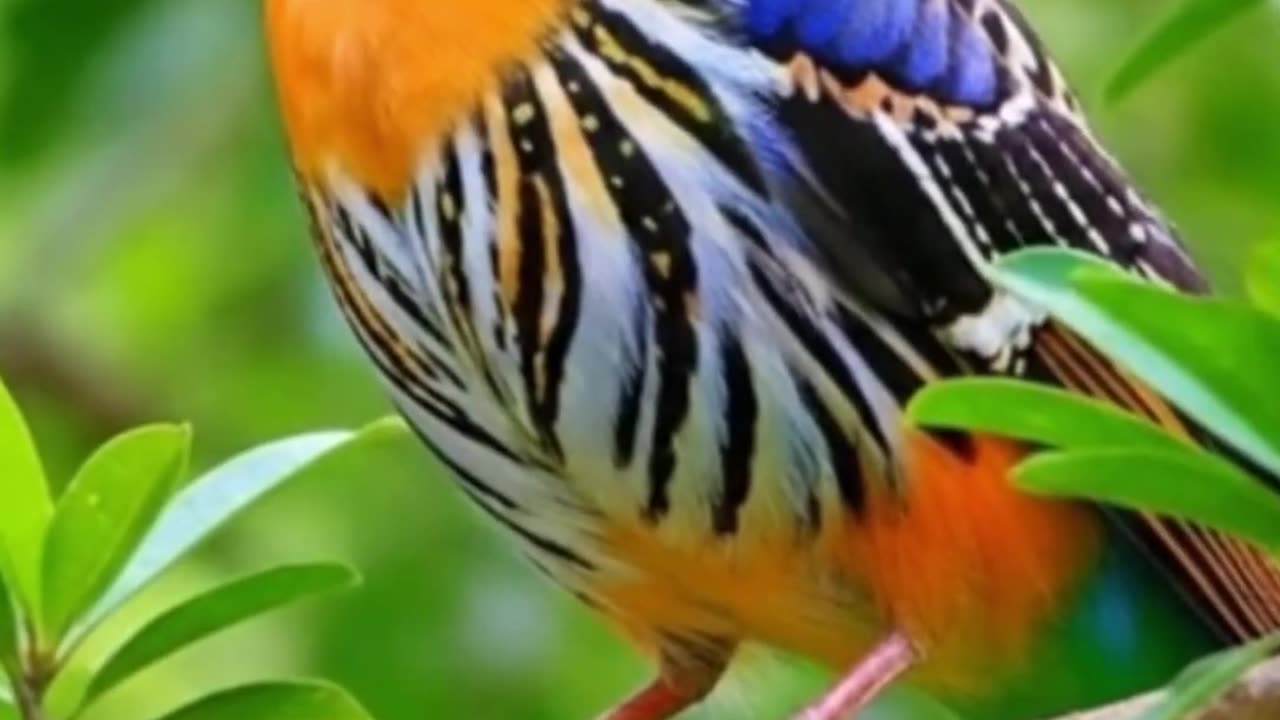 Close Your Eyes — Feel the Peace Flow In #relaxingmusic #calmvibes #shorts