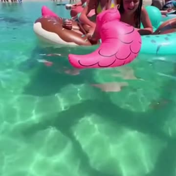 12-Foot Shark Swims RIGHT Under Girls on Floaties! 😱🐟 Miami Beach